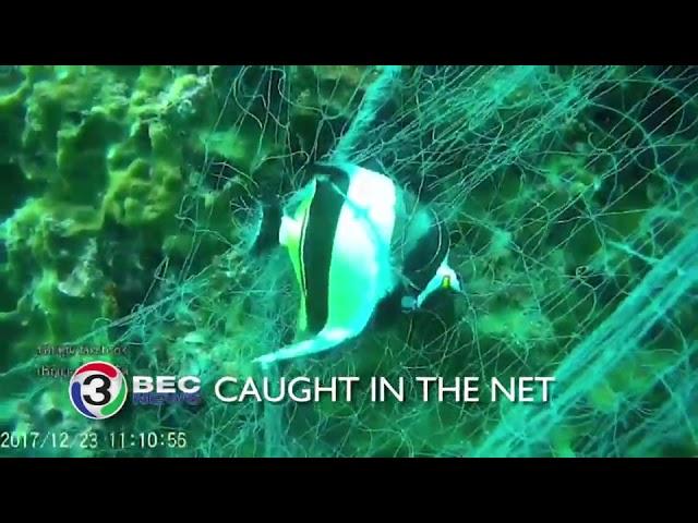 CAUGHT IN THE NET | Ch3Thailand