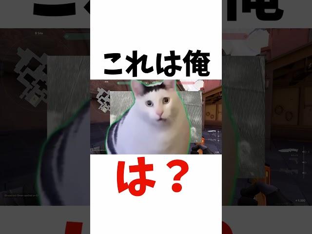 【役に立つ】足音に関するマジの小ネタ、雑学【VALORANT/ヴァロラント】【HYORU/ネタ動画】#VALORANT #ヴァロラント #ValorantClips #hyoru