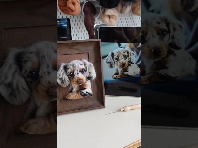 Pet wool felt handmade Customized