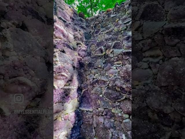 World Famous Amethyst Cave in Scotland #geodes #crystals #amethyst #gemstones #shortss