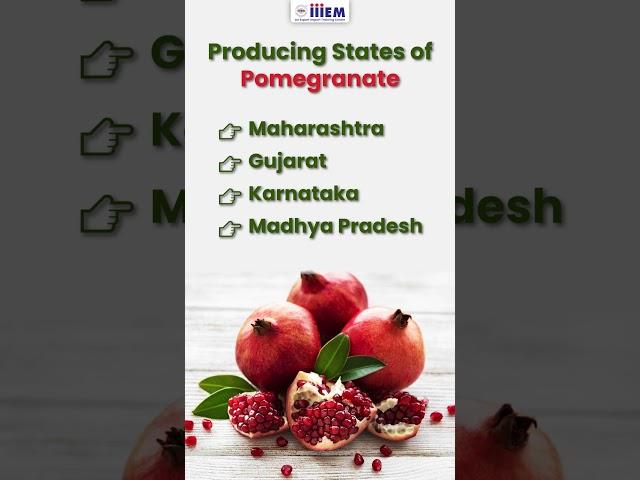 Top Indian States Producing Pomegranate | Learn Export Import Business #shorts #iiiEM