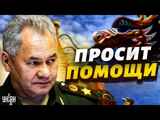 Тревожный сигнал от Китая. Пекин берет новый курс? Шойгу нашел "подкрепление"