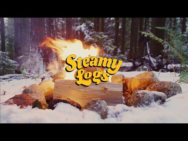 Snowy Virtual Campfire [4K] | Steamy Logs