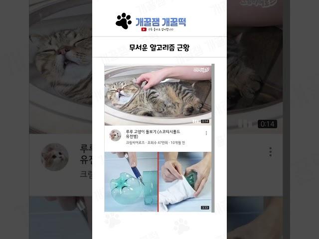 웃긴 상황들 모음 99탄 ㅋㅋㅋㅋ
