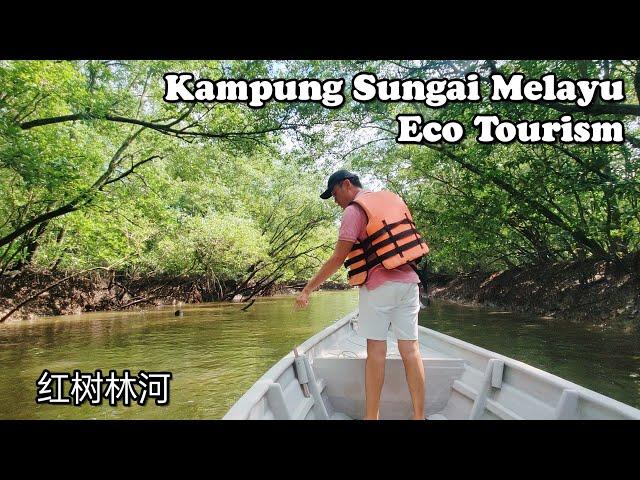 【船游红树林】 Eco Tourism Kampung Sungai Melayu | Louis & Kim