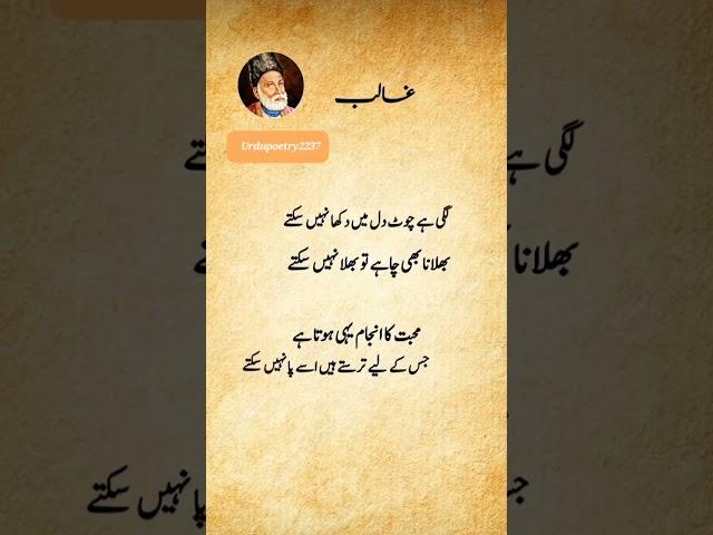 sad urdu ghazal for broken hearts songs |pakistani recipes cooking in urdu |YouTube monitization ️