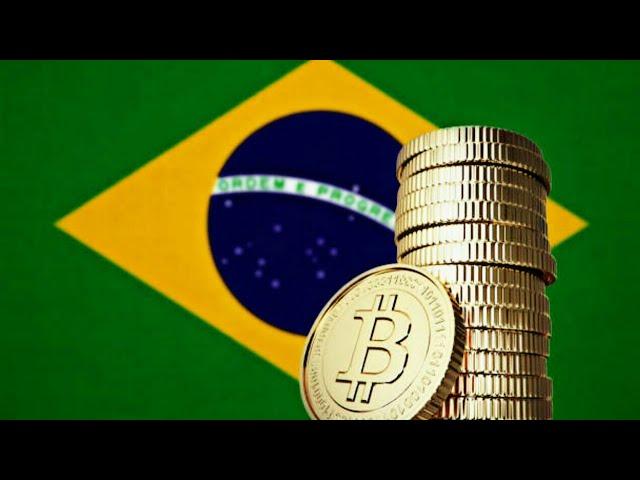 What “Initial Coin Offerings” Mean in the Cryptocurrency Market | Technological Investment + Finance