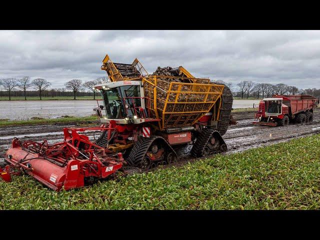 Nothing can stop this Beet Beast! | Extreme wet harvest | Agrifac on tracks | W. Berkers - Deurne