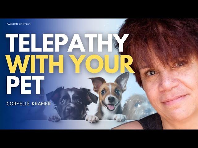 Talk to YOUR PET! Animal Communication, Connect with your Pet on a deeper level w/ Coryelle Kramer