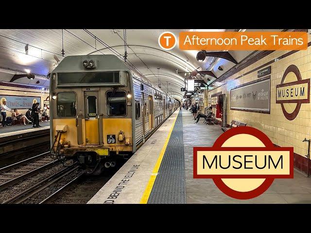 Transport for Sydney Vlog 781: Museum Station - Afternoon Peak Trains