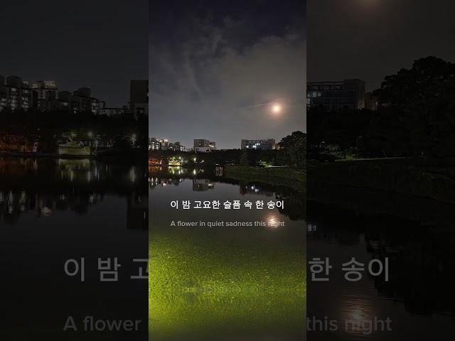 [흥구락부] 달의 숨결 아래