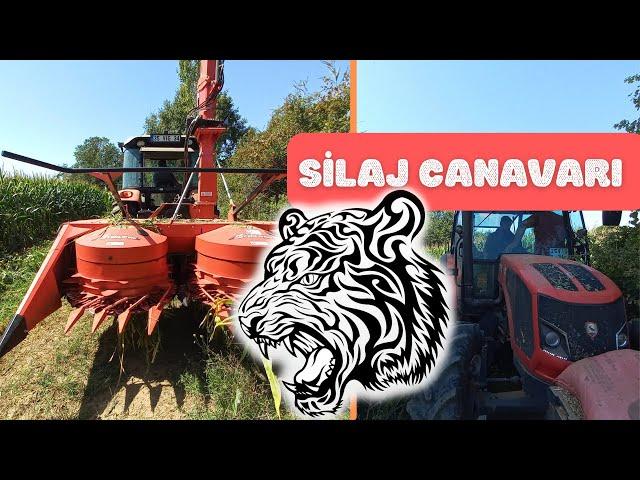 SİLAJ CANAVARI İŞ BAŞINDA! / ÇOKCANLAR 2100 3 SIRA SİLAJ MAKİNESİ / ERKUNT KUDRET 105