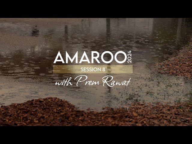 Amaroo 2024 Session 8 (A glimpse)