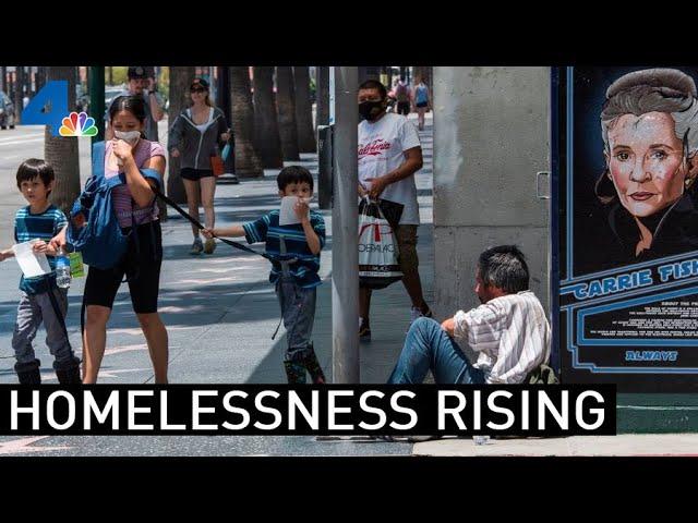 Homelessness Continues to Rise in Los Angeles County | NBCLA