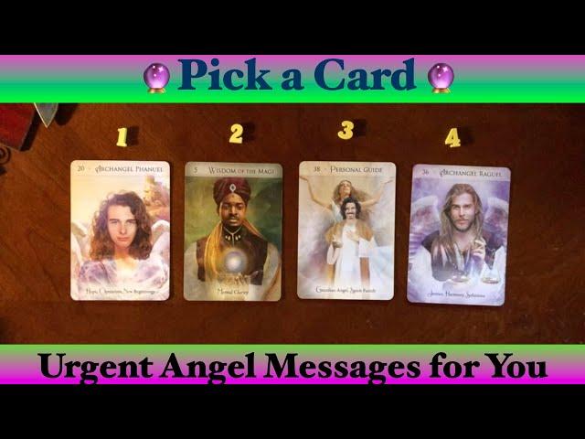 Urgent Angel Message for You  Pick a Card  Timeless ⏰