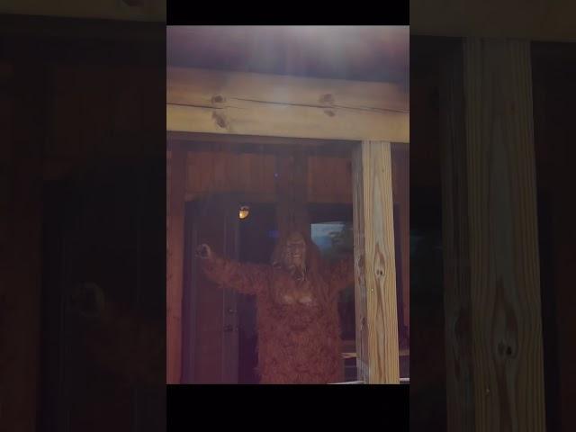 Shenandoah Squatch at Lydia Mountain Lodge #fyp
