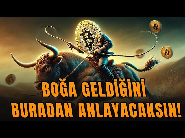 Boğa piyasasında para kazanmanın altın kuralları! Bunları yapmadan sezona girme...