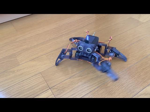 Quadruped Robot