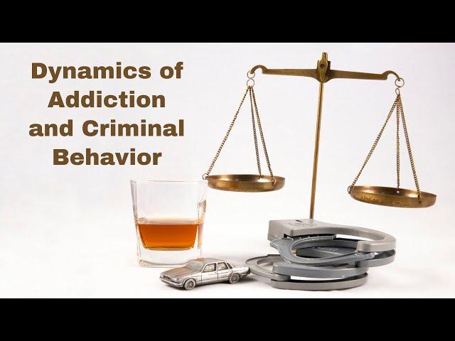 Revealing the Dynamics of Addiction and Criminal Behavior