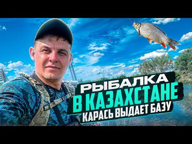 РЫБАЛКА НА КАРАСЯ В КАЗАХСТАНЕ С ПЕТРОВИЧЕМ