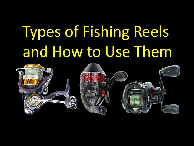 3 Types of Fishing Reels and How to Use Them - Spinning vs. Spincast vs. Baitcasting