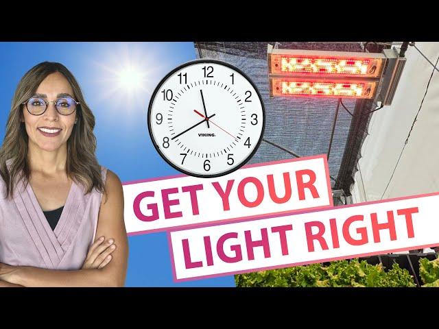 Hydroponic Growing for Beginners: Calculating Optimal Light Hours for Your Crops