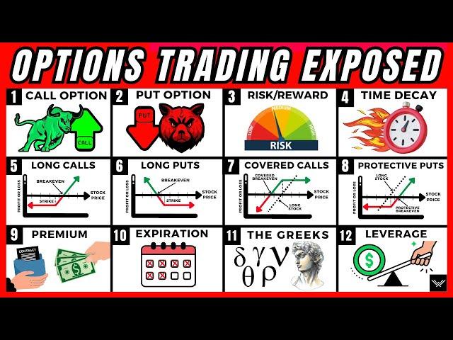 ULTIMATE Options Trading Beginners Guide (Expert In 10 Minutes)