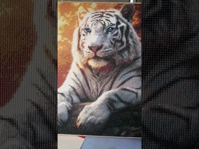 #мастерскаяалисы #diamondpainting #творчество #тигруля #тигрята #тигры #совместныйпроект #алмаз