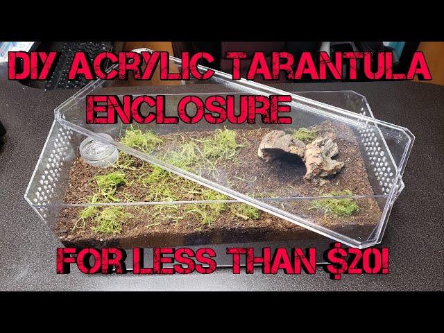 DIY Beautiful Low Cost Acrylic Display Case Terrestrial Tarantula Enclosure