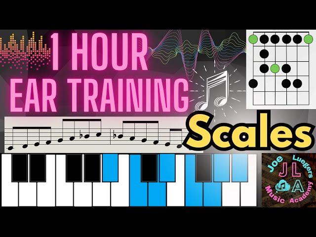 Scale Ear Training - Learn to Hear 22 Unique Scales