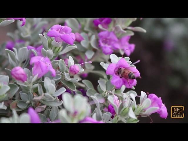 InfoDrop Media | Website Background Video