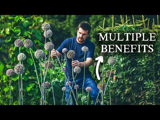 9 Incredible Varieties Every Permaculture Garden Should Try