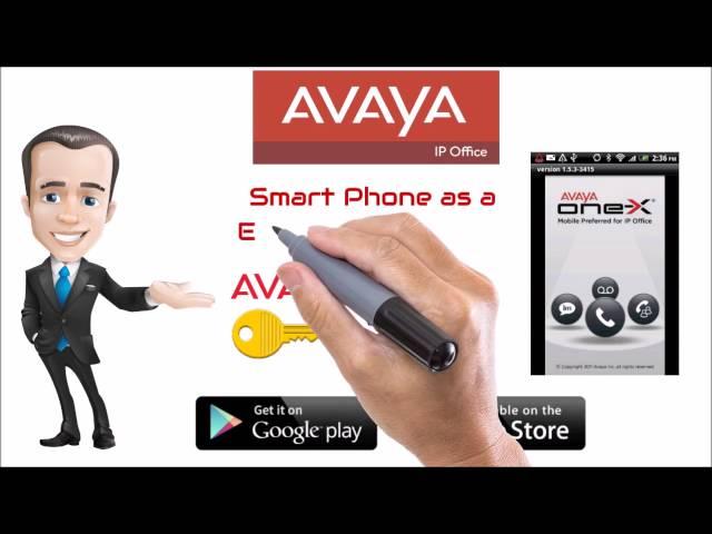 Avaya Phone System