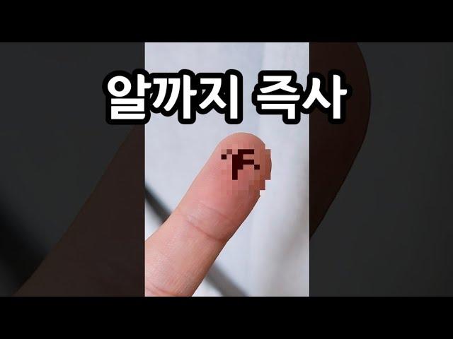 빈대에는 이게 직빵입니다 (발견 즉시 이거부터 하세요)