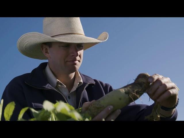 Australian Good Meat - Meet the Producers | Stuart Tait