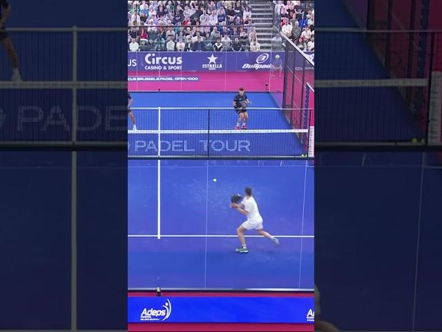 Best Padel Shorts of 2024  #padeltennis  #reels  #tennis #sports  #shorts