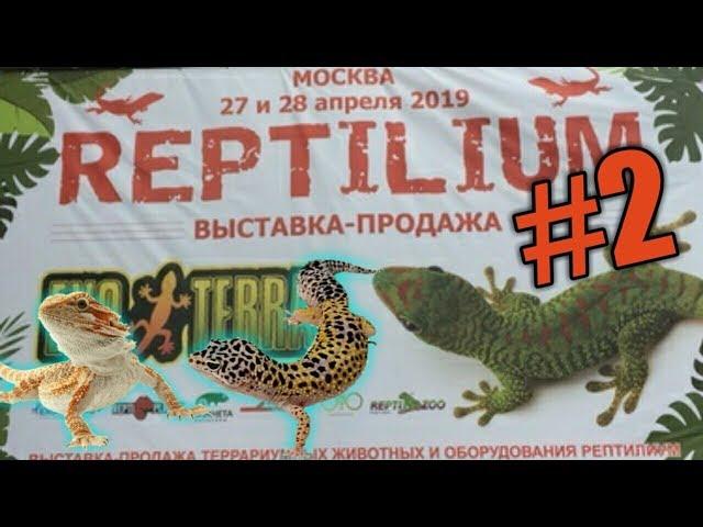 REPTILIUM #2 / 2019 МОСКВА ВЫСТАВКА-ПРОДАЖА / ГОНКИ СПИНОХОДОВ / ПРОБУЕМ СВЕРЧКОВ И ЗОФОБАСА