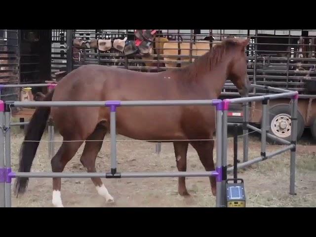 Portable Horse Corral with Built-In Electric