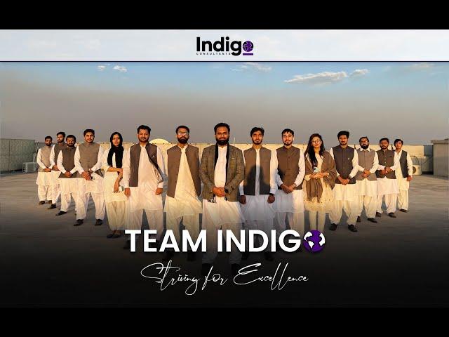 We are Indigo - Meet the Team | Indigo Consultants