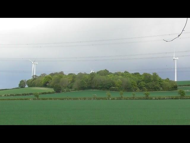 Woodland near Fleam Dyke Earthworks Cambridgeshire UK 19may2021 411p DBW