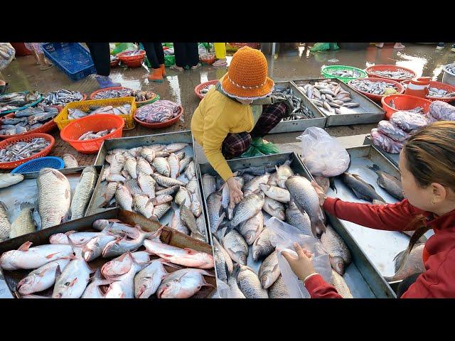 Awesome Fish Market Scenes Early Morning - Fish, Seafood, Vegetables & People Activities |Papa