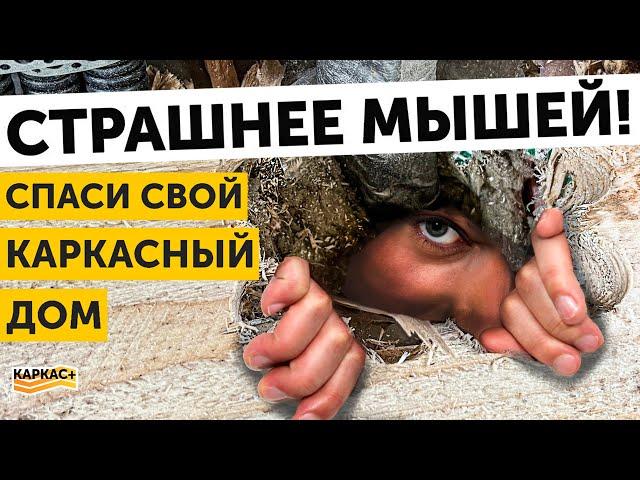 Они превратят ваш каркасный дом в РЕШЕТО. Как НЕ стоит делать коммуникации в каркасном доме