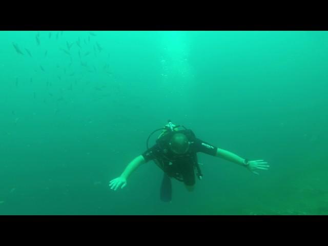 29-01-17 Third Dive