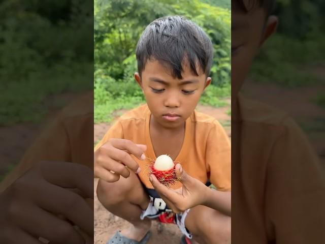 Survival Skills: SMART idea and USEFUL in Forest #bushcraft #camping #outdoors v48