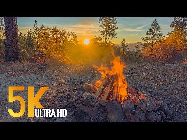 Peaceful Campfire at Sunrise - 5K Nature Relaxation Video with Crackling Fire Sounds