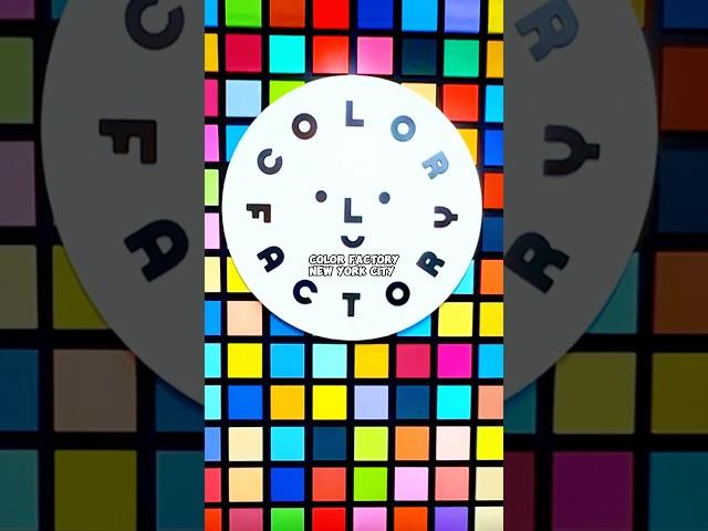 Inside NYC’s Color Factory: Color Psychology in Action