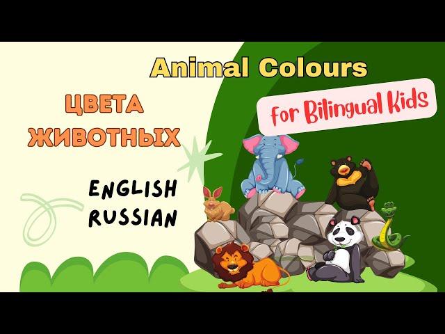 Bilingual Kids English- Russian Video Animals and Colours Животные и Цвета Видео на двух языках