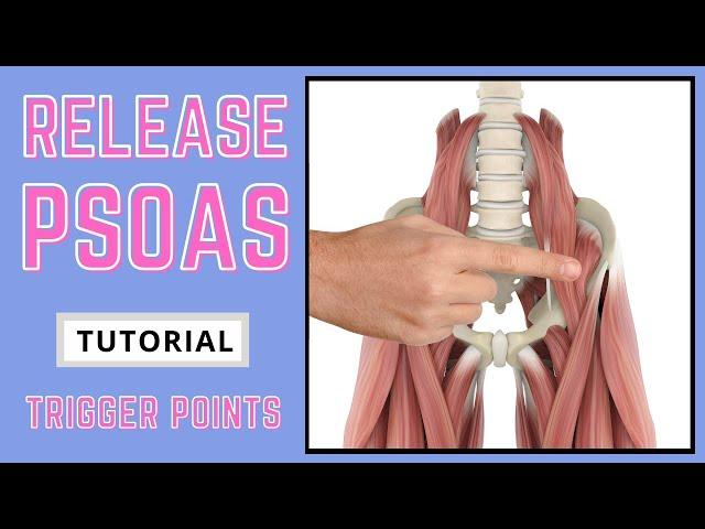 Trigger Point Release - Iliopsoas (Psoas)