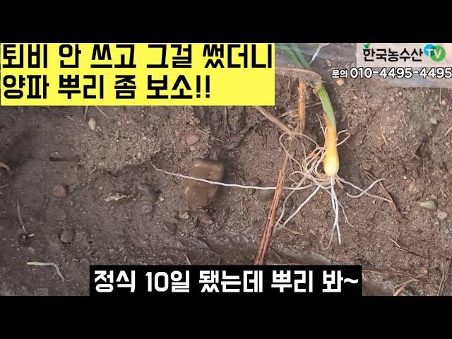 [한국농수산TV] 퇴비 고민 이젠 끝!! 새로운 농사의 길이 열린다!! 경북 구미