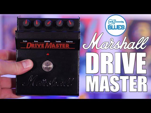 Marshall Drive Master Review - After the Hype!